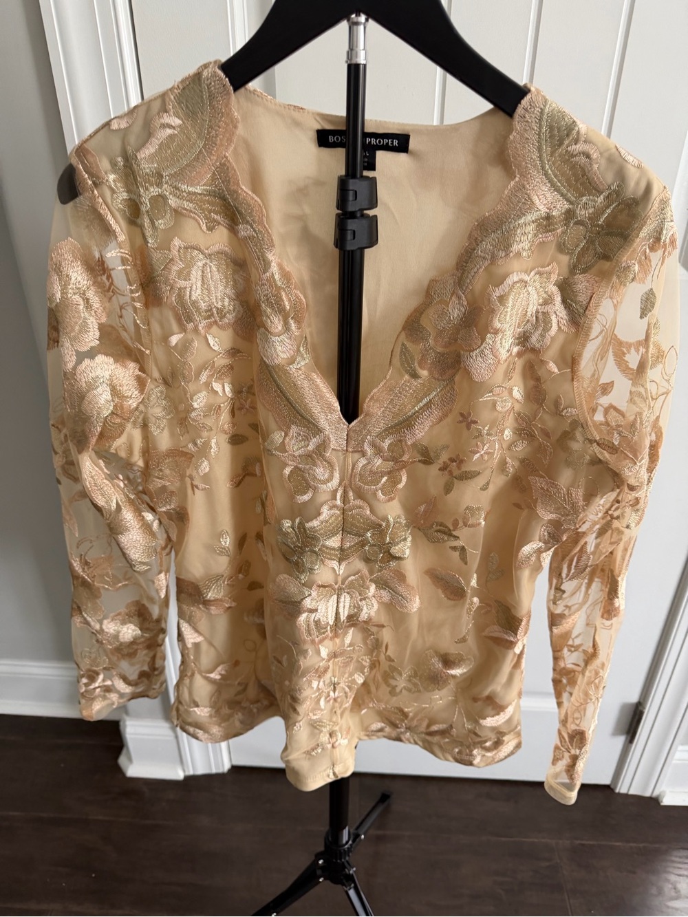 Boston Proper Sheer Embroidered V-Neck Blouse in Champagne